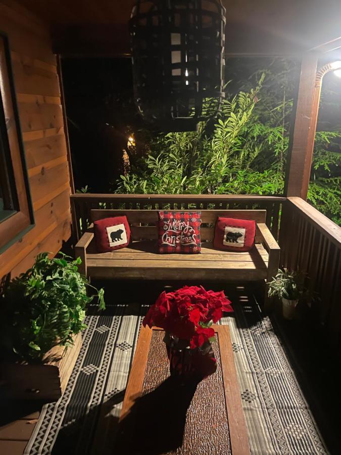 Cozy Creekfront Family Cabin-Pet Friendly -Gamerm-Hot Tub Hiawassee Luaran gambar